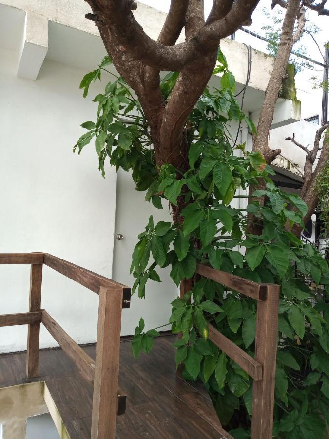 Estudio Zona Centro Cerca De La Terminal Ado Канкун Экстерьер фото